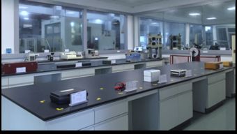 保一集團檢測中心順利通過CNAS現(xiàn)場評審，助力飼料添加劑生產質量提升